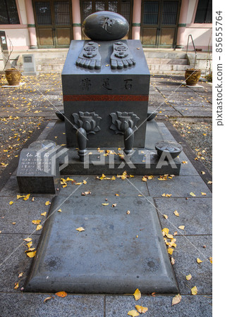大正山長林寺 大正山長林寺 85655764