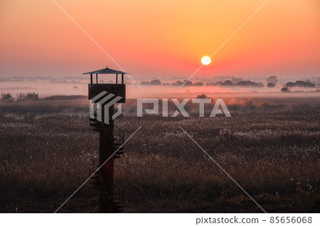 Watarase Setoji 85656068