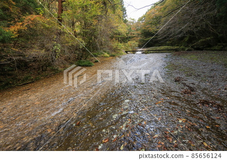 Toon City, Ehime Prefecture, Autumn River Valley Toon City, Ehime Prefecture, Autumn River Valley 85656124