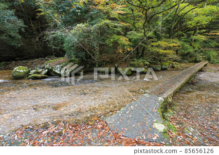 Toon City, Ehime Prefecture, Autumn River Valley Toon City, Ehime Prefecture, Autumn River Valley 85656126
