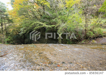 愛媛縣香椿市秋河谷 85656147