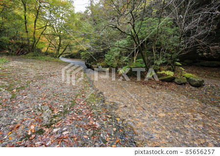 Toon City, Ehime Prefecture, Autumn River Valley Toon City, Ehime Prefecture, Autumn River Valley 85656257