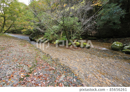 Toon City, Ehime Prefecture, Autumn River Valley 85656261