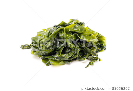 Fresh seaweed wakame isolated on white background. Copy space. Japanese food Fresh seaweed wakame isolated on white background. Copy space. Japanese food 85656262