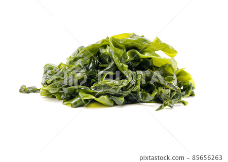 Fresh seaweed wakame isolated on white background. Copy space. Japanese food Fresh seaweed wakame isolated on white background. Copy space. Japanese food 85656263