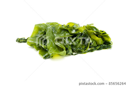 Fresh seaweed wakame isolated on white background. Copy space. Japanese food Fresh seaweed wakame isolated on white background. Copy space. Japanese food 85656264