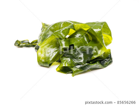 Fresh seaweed wakame isolated on white background. Copy space. Japanese food 85656266