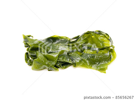 Fresh seaweed wakame isolated on white - Stock Photo [85656267] - PIXTA