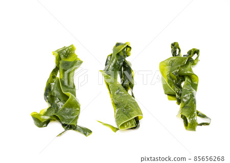 Fresh seaweed wakame isolated on white background. Copy space. Japanese food Fresh seaweed wakame isolated on white background. Copy space. Japanese food 85656268