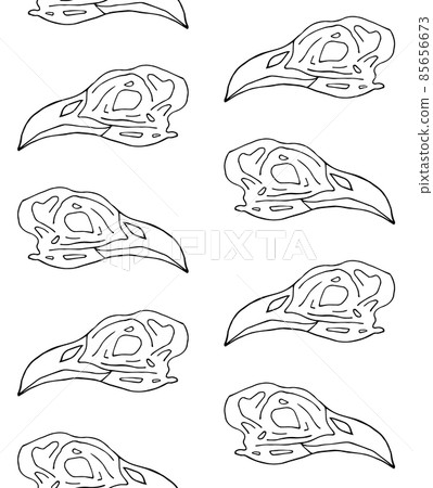 Vector seamless pattern of hand drawn bird skull Vector seamless pattern of hand drawn bird skull 85656673
