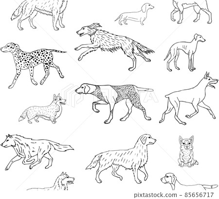 Vector seamless pattern of hand drawn doodle dog Vector seamless pattern of hand drawn doodle dog 85656717