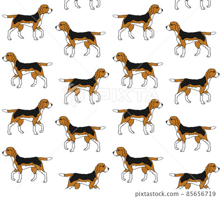Vector seamless pattern of colored beagle 85656719
