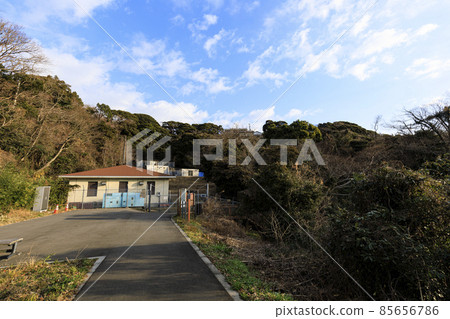 Winter in Koajiro no Mori, Miura City, Kanagawa Prefecture, an unexplored region of the Shonan Miura Peninsula Winter in Koajiro no Mori, Miura City, Kanagawa Prefecture, an unexplored region of the Shonan Miura Peninsula 85656786