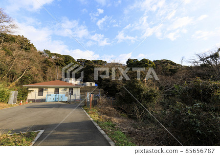 Winter in Koajiro no Mori, Miura City, Kanagawa Prefecture, an unexplored region of the Shonan Miura Peninsula Winter in Koajiro no Mori, Miura City, Kanagawa Prefecture, an unexplored region of the Shonan Miura Peninsula 85656787