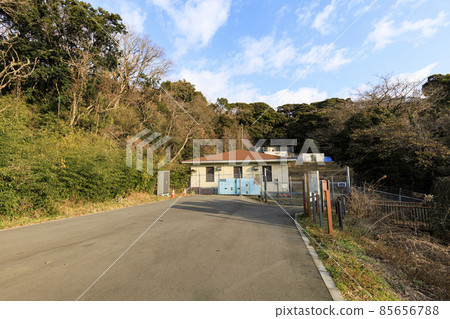 Winter in Koajiro no Mori, Miura City, Kanagawa Prefecture, an unexplored region of the Shonan Miura Peninsula Winter in Koajiro no Mori, Miura City, Kanagawa Prefecture, an unexplored region of the Shonan Miura Peninsula 85656788