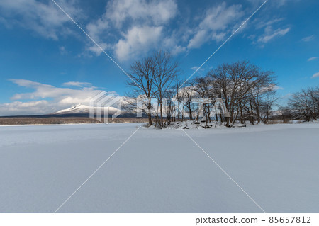 Onuma Quasi-National Park _ Komagatake _ Active Volcano _ Winter _ Winter Mountain _ Winter Komagatake _ Winter Onuma 85657812