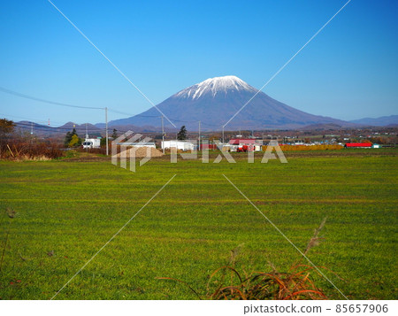 Snow-covered Mt. Yotei 85657906