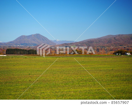 Spacious Hokkaido pasture Spacious Hokkaido pasture 85657907