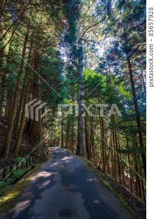 （埼玉縣）秋季三峰神社轄區/進場 85657928