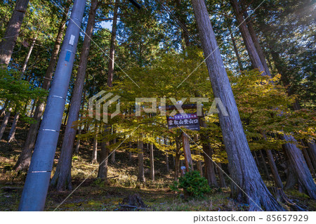 （埼玉縣）秋季三峰神社轄區/進場 85657929