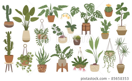 House plants in pots, hanging houseplants, indoor home decor. Potted cactus, succulents, urban jungle plant interior decorations vector set House plants in pots, hanging houseplants, indoor home decor. Potted cactus, succulents, urban jungle plant interior decorations vector set 85658353