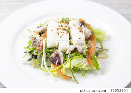 Delicious squid and dioscorea salad Delicious squid and dioscorea salad 85658594