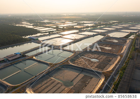 Aerial view of natural sea salt ponds, lake or sea. Farm field outdoor in traditional industry in Thailand. Asia culture. Agriculture irrigation. River reflection. 85658638