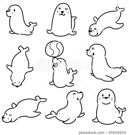 vector set of sea lion 85658834