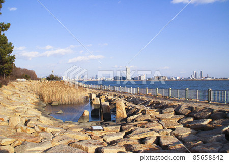 大阪府大阪市西淀川區矢倉綠地/西島2丁目 大阪府大阪市西淀川區矢倉綠地/西島2丁目 85658842