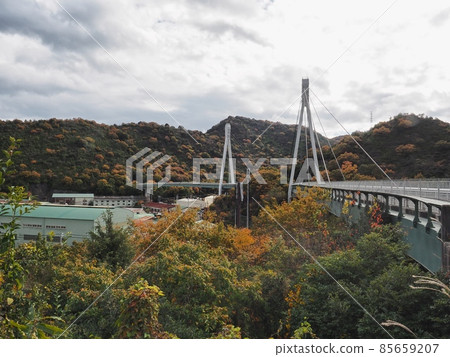 藤橋橋日之橋兵庫縣道568相生橋面公園線斜拉橋 藤橋橋日之橋兵庫縣道568相生橋面公園線斜拉橋 85659207