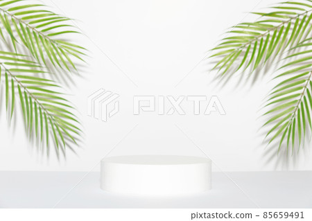 Abstract empty white podium and palm leaves on grey background. Mock up stand for product presentation. 3D Render. Minimal concept. 85659491