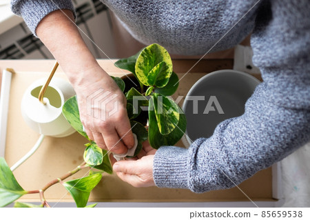 Caucasian woman planting flower in ceramic pot Caucasian woman planting flower in ceramic pot 85659538