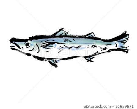 梭子魚日式手繪毛筆插圖 梭子魚日式手繪毛筆插圖 85659671