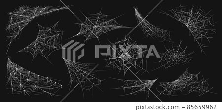Halloween spider web. Realistic cobweb, scary dark corner isolated net, spooky decorative element. Vector creepy hanging gothic web 85659962