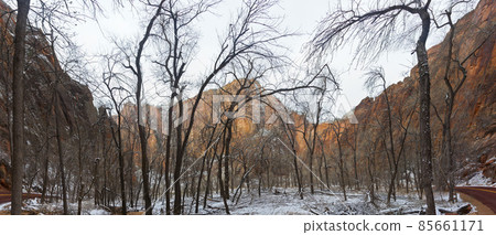Panorama from Zion National Park in winter 85661171