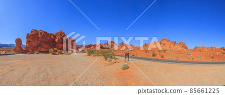 Valley of Fire State Park 85661225