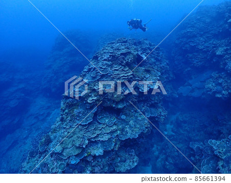 石垣島，蔓延開來的珊瑚海床 85661394