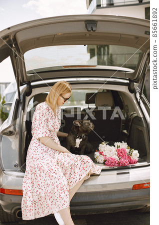 Young blonde woman sitting in a car trunk with French bulldog puppy and bouquet of flowers Young blonde woman sitting in a car trunk with French bulldog puppy and bouquet of flowers 85661892