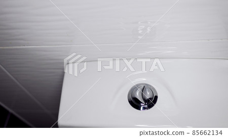 toilet flush knob 85662134