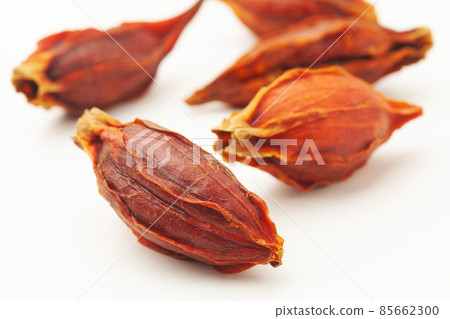 梔子果實 85662300