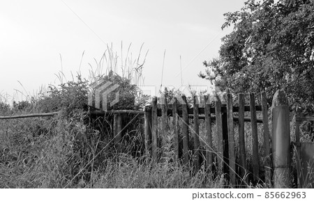 Beautiful old gate from abandoned house in village 85662963