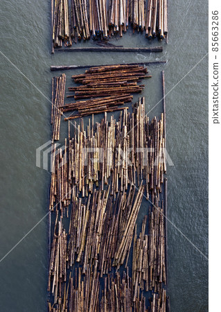 Logs pulled by a tugboat on Fraser River 85663286