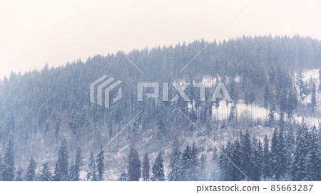 Snowfall in fir forest at ski resort in daytime. Side view of track with skiers on snowy mountain slope. Magic winter Carpathians coniferous forest. Beautiful scenic christmas landscape Snowfall in fir forest at ski resort in daytime. Side view of track with skiers on snowy mountain slope. Magic winter Carpathians coniferous forest. Beautiful scenic christmas landscape 85663287