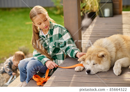 Girl sitting on porch looking touching lying dog Girl sitting on porch looking touching lying dog 85664322