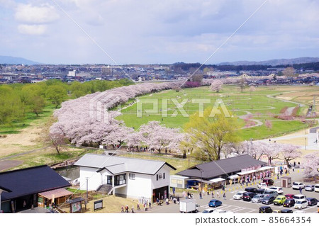 Sakura in Kitakami Tenshochi Spring 2021 85664354