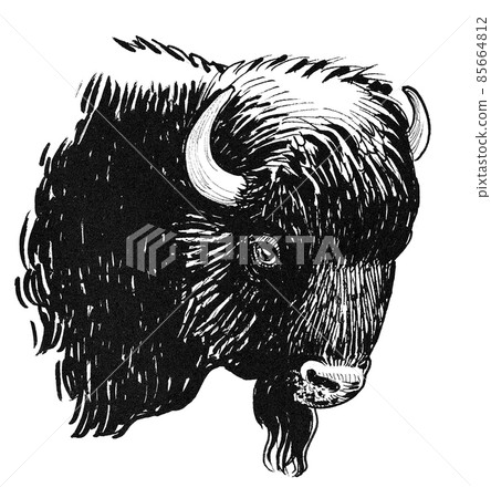 Bison bull head. Ink black and white drawing 85664812