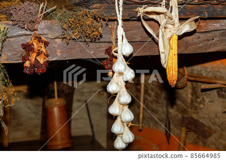 Dry bunches of garlic, corn, viburnum berries, St. John's wort and yarrow are hung in the back room of an old rural hut. Dry bunches of garlic, corn, viburnum berries, St. John's wort and yarrow are hung in the back room of an old rural hut. 85664985