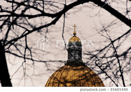 view through the branches of trees on the dome of St. Isaac's Cathedral view through the branches of trees on the dome of St. Isaac's Cathedral 85665490