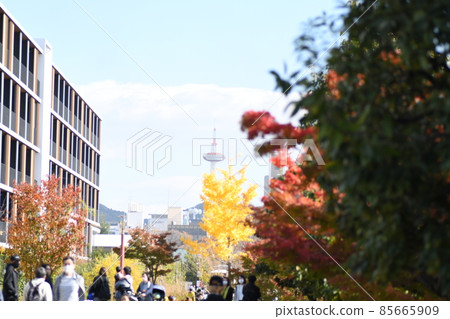 Kyoto Tower Kyoto Tower 85665909