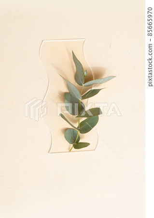 Glass petri dish with transparent pure serum for skin care 85665970